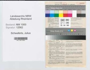 Entnazifizierung Julius Schwaferts, geb. 27.02.1896 (Vers.Angest.)