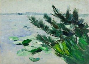 Sommer (Seeufer mit Strauchwerk und Seerosen)
