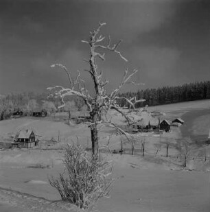 Rehefeld-Zaunhaus. Blick auf den Ort im Winter