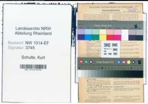 Entnazifizierung Kurt Schulte , geb. 19.11.1899 (Direktor)