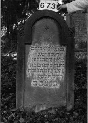 Grabstein 673 (Index: 99803006) Material: Sandstein Zustand: gut Maße HxBxT: 112x62x13 cm Beschreibung: Stele mit eingezogenem gestelztem Rundbogen, Seitenakroterien Symbolik: Stern, Seitenakroterien mit floraler Ornamentik: Grabstein 673