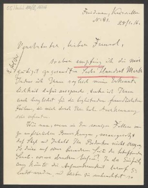 Brief an Ludwig Strecker  und B. Schott's Söhne : 28.01.1916