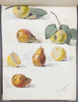 Obst: Birnen, Äpfel, Zitronen