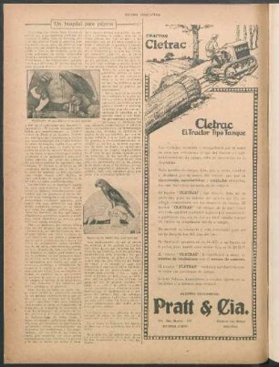 Un hospital para pájaros