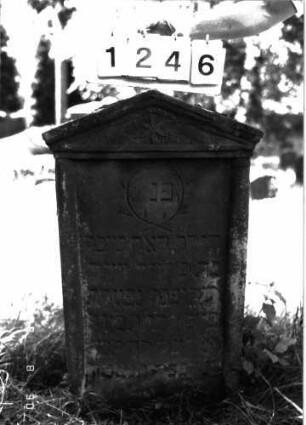 Grabstein 1246 (Index: 100098481) Maße HxBxT: 94x51x10 cm Symbolik: Rosette, Trauerkranz: Grabstein 1246