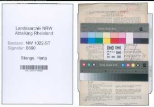 Entnazifizierung Herta Stangs , geb. 13.06.1902 (Fuersorgerin)