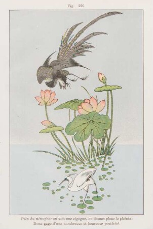 Fig. 226. Près du nénuphar on voit une cigogne, ...