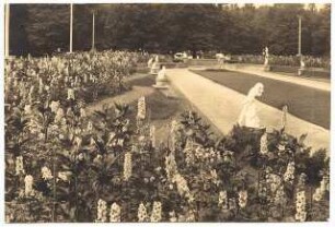 Ausstellungsgarten Jubiläums-Gartenbau-Ausstellung 1926, Dresden: Garten zum Blauen Rittersporn, Abschnitt 4
