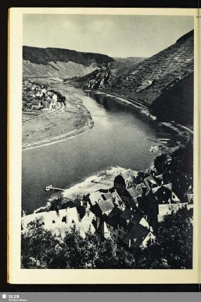 Die Mosel bei Beilstein