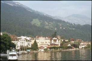Weggis am Fusse der Rigi