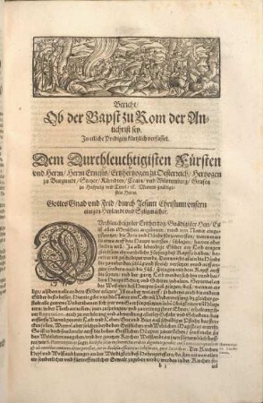 Bericht, Ob der Bapst zu Rom der Antichrist sey.