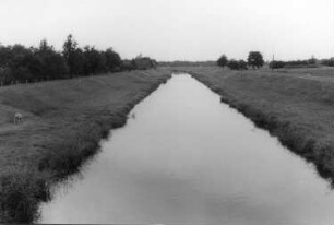 Elsterheide-Neuwiese-Bergen. Die schwarze Elster