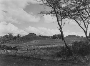 Hügellandschaft : Hügellandschaft zwischen dem Mount Meru und dem Kilimandscharo-Massiv