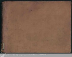 Irene - Mus.2477-F-24