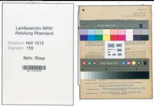 Entnazifizierung Rosa Behr , geb. 02.08.1890 (Friseuse)