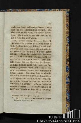 42) Ehrenpreis, Veronica Linn.