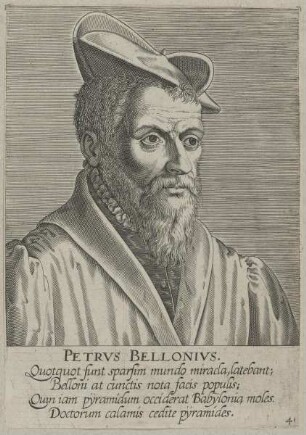 Bildnis des Petrvs Bellonivs