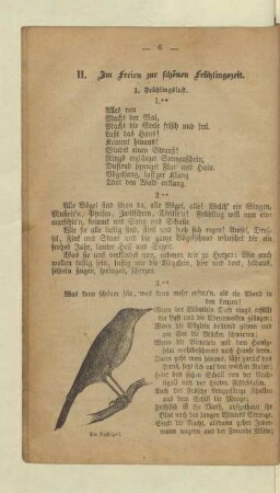 II. Im Freien zur schönen Frühlingszeit