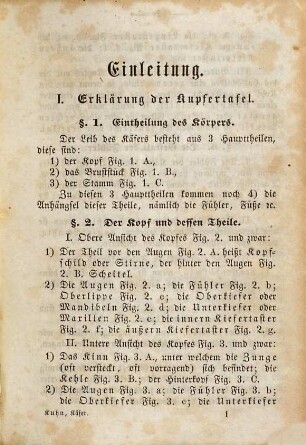 Die Käfer des südbayerischen Flachlandes : analytisch beschrieben
