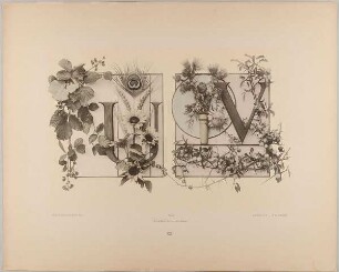 XX. Initiale U V mit Brombeeren, Pfauenfeder, Gerste und Sonnenblumen - Wetter- und Kratzdistel, Schlehdorn