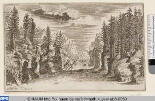 Il pomo d'oro, 12. Bild: Flußtal