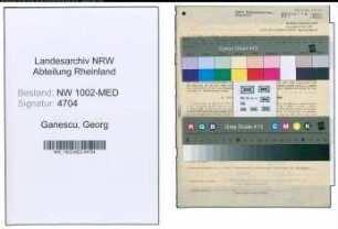 Entnazifizierung Georg Ganescu , geb. 14.04.1910 (Arzt)