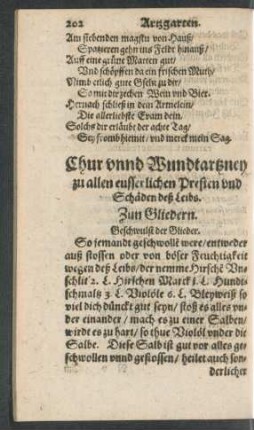 Chur unnd Wundtartzney zu allen eusserlichen Presten und Schäden deß Leibs.