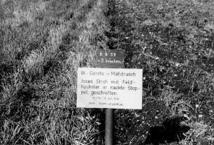 Stroh im Boden Hollern bei Schaßberger