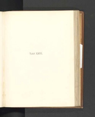 Tafel XXVI.