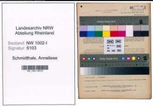 Entnazifizierung Anneliese Schmidthals, geb. 10.10.1922 (Kaufmaennische Angestellte)