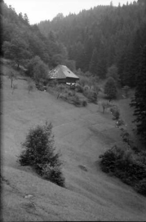 Wagensteig: Das Lochhäusle; nähe Spirzen