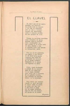 El clavel