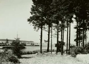 Freiberger Bergbaurevier, Großer Teich bei Großhartmannsdorf, Südufer