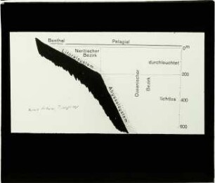 Diagramm: "Einteilung Lebenskreis Meer"