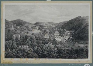 Tharandt, Blick von der Burgruine in das Schloitzbachtal