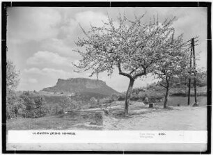 Lilienstein