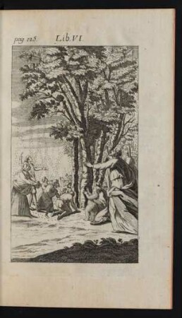Lib. VI.