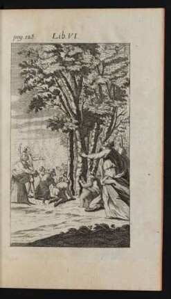 Lib. VI.