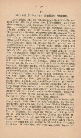 IV. Leben und Treiben einer chinesischen Großstadt
