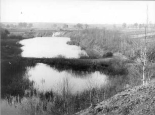 Zittauer Becken. Ehemaliger Braunkohlentagebau, abgesoffen, bei Hartau südöstlich Zittau