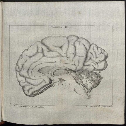 Tabula. III.
