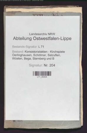 Einkünfte und Besitzungen des Küsters (auch: Wohnung)
