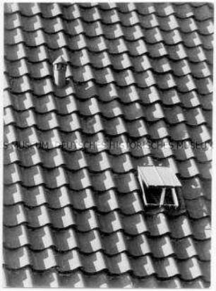 Dachziegel und Dachluke an einer Dachseite