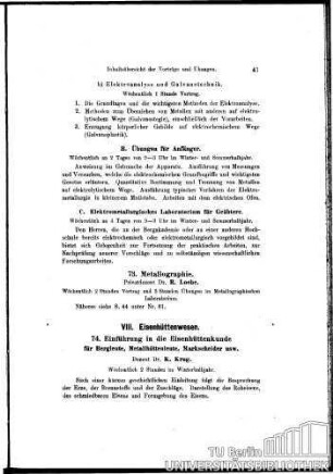 VIII. Eisenhüttenwesen