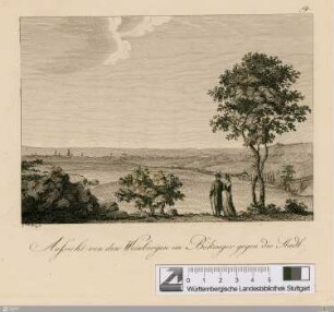 Aussicht von den Weinbergen im Bökinger gegen die Stadt