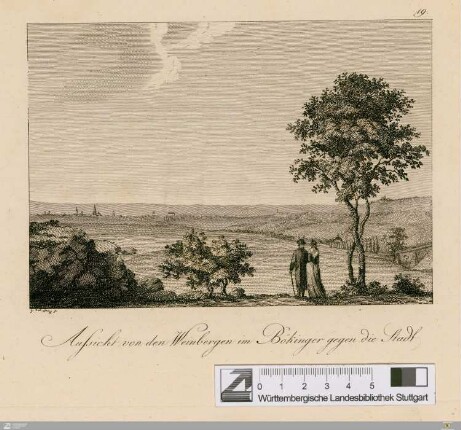Aussicht von den Weinbergen im Bökinger gegen die Stadt