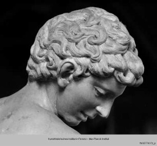 Bacchus mit dem Panther - Bacchus
