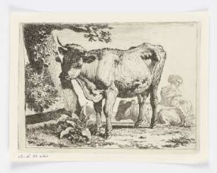 Kuh und ihr Kalb