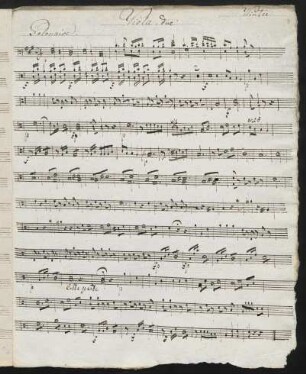 Viola due