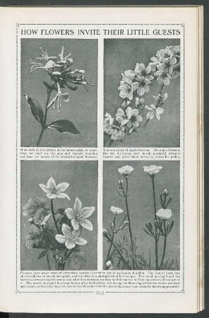 [Seiten 3735 - 3834]